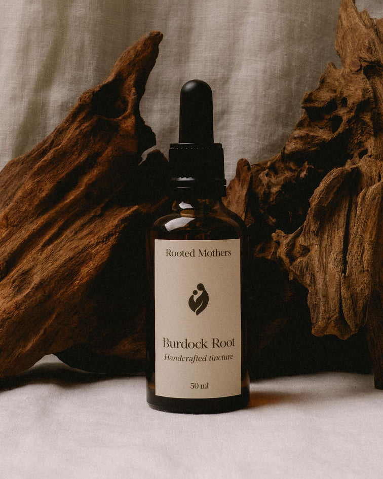 Burdock Root