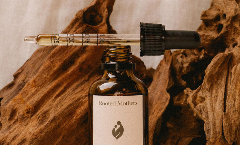 Burdock Root